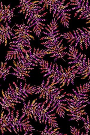 冲锋衣印花华亿平台图片