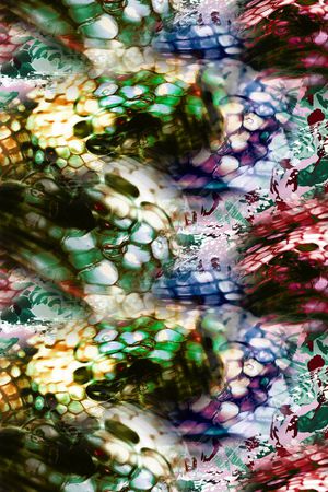 彩色蛇纹印花华亿平台图片