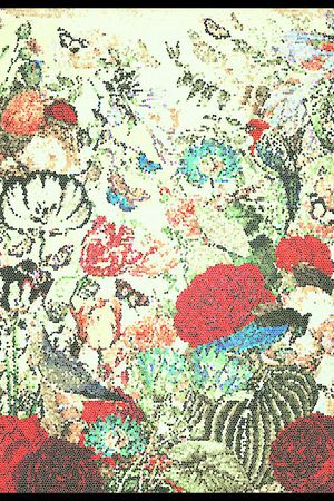 花鸟 动物印花华亿平台图片