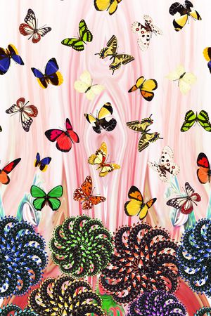 蝴蝶印花华亿平台图片