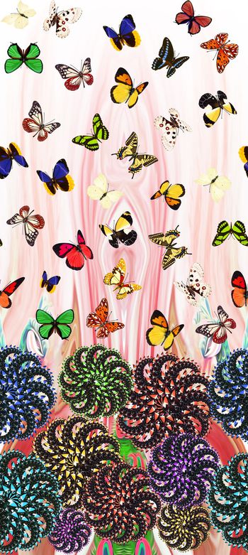 蝴蝶印花华亿平台图片