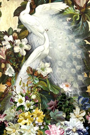 白孔雀印花华亿平台图片