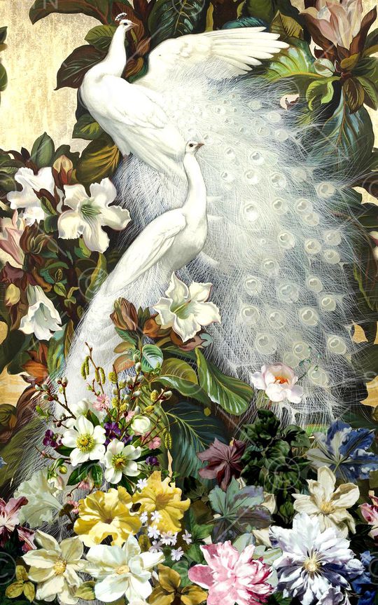 白孔雀印花华亿平台图片