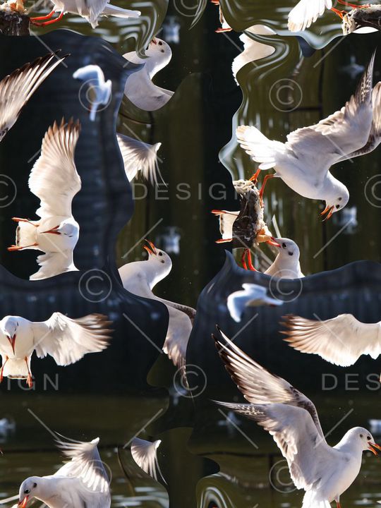 潮流印花华亿平台图片