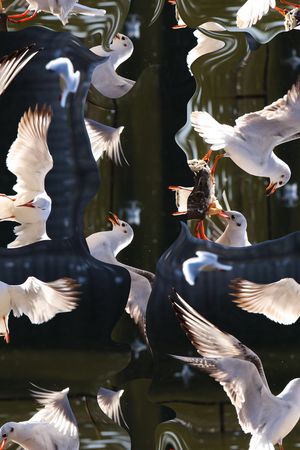 潮流印花华亿平台图片