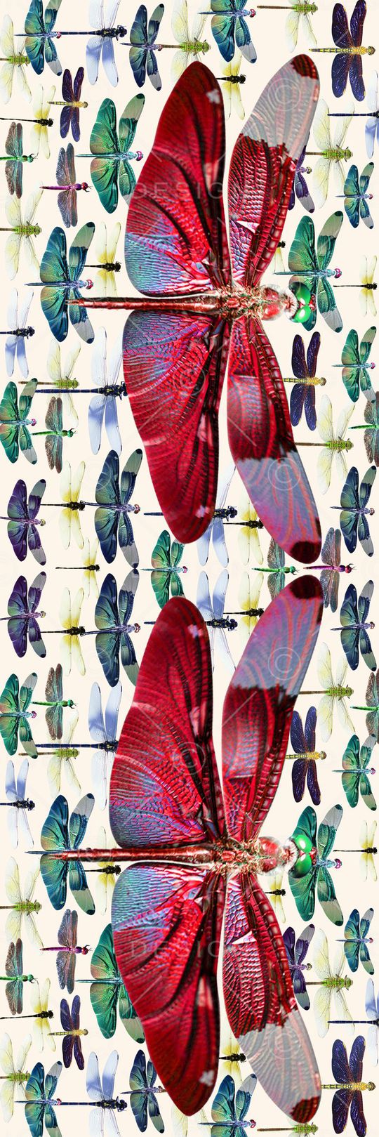 数码围巾印花华亿平台图片