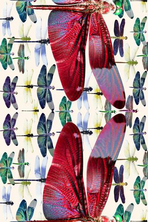 数码围巾印花华亿平台图片