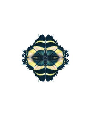 蝴蝶印花华亿平台图片