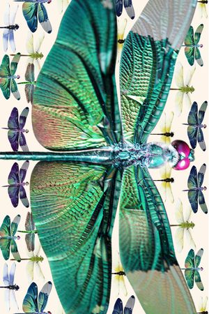 数码围巾印花华亿平台图片