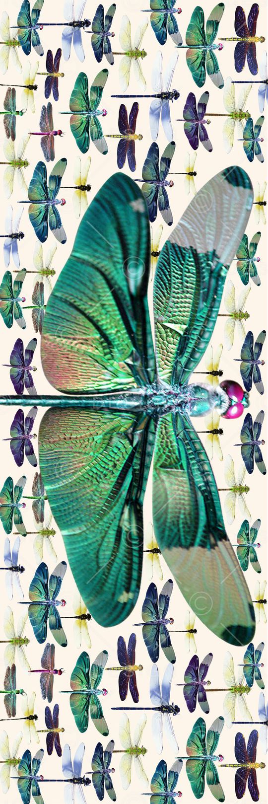 数码围巾印花华亿平台图片