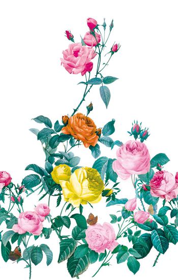 原创印花华亿平台图片