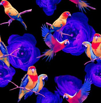 飞鸟图印花华亿平台图片