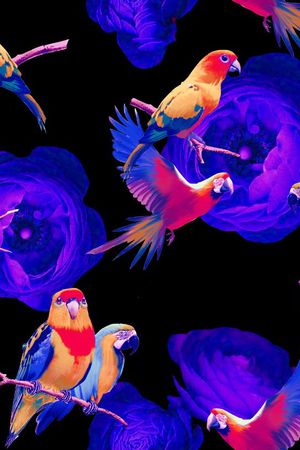 飞鸟图印花华亿平台图片