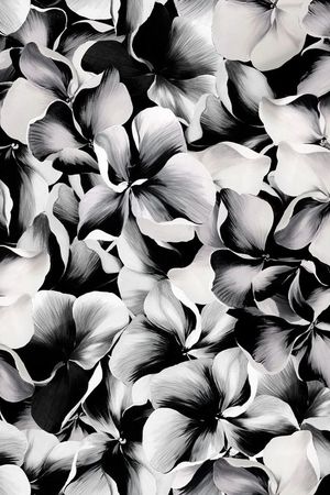 大牌印花华亿平台图片