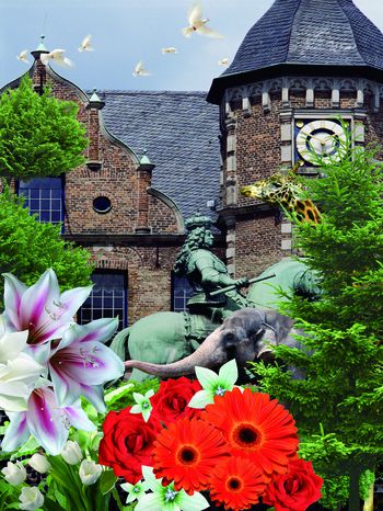 潮流印花华亿平台图片