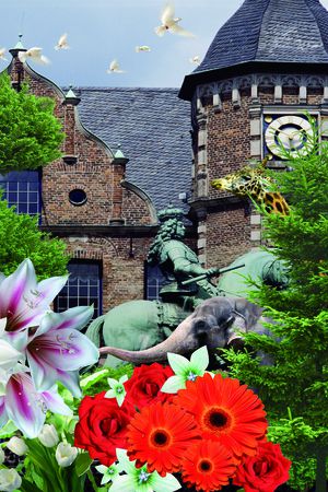 潮流印花华亿平台图片