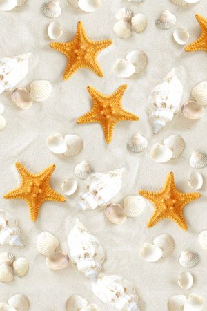 海洋风印花华亿平台图片