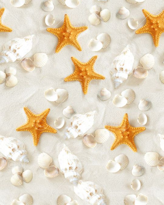 海洋风印花华亿平台图片