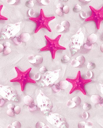 524952-海洋沙滩海螺海星贝壳