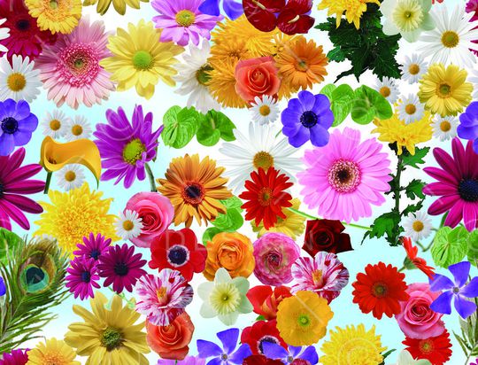 四方连续图印花华亿平台图片