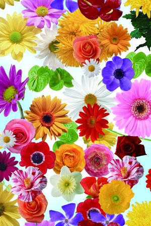 四方连续图印花华亿平台图片