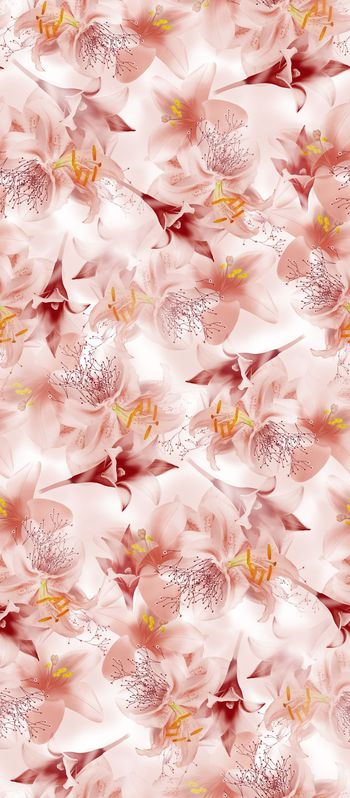 525497-高清 清爽 花卉 写真 组合 华亿平台