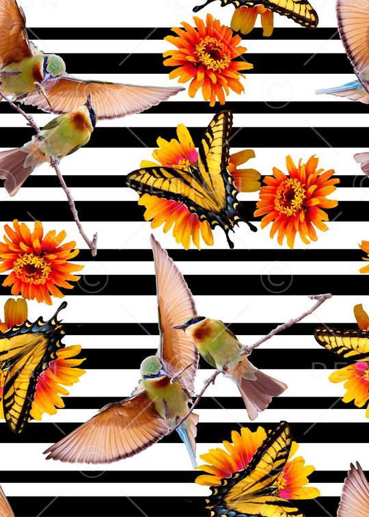 服装设计印花华亿平台图片