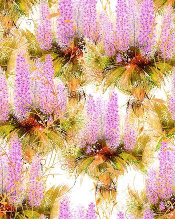 525584-写真植物花卉风信子