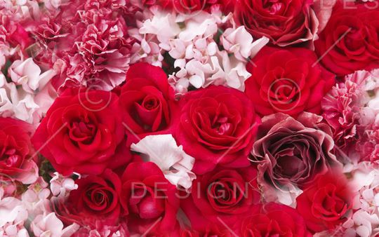 乱画印花华亿平台图片