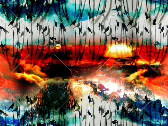 民族动物田园印花华亿平台图片