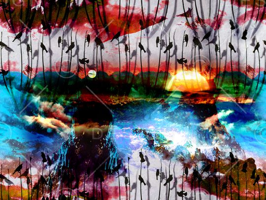 最新男装印花华亿平台图片