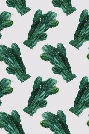 仙人掌印花华亿平台图片