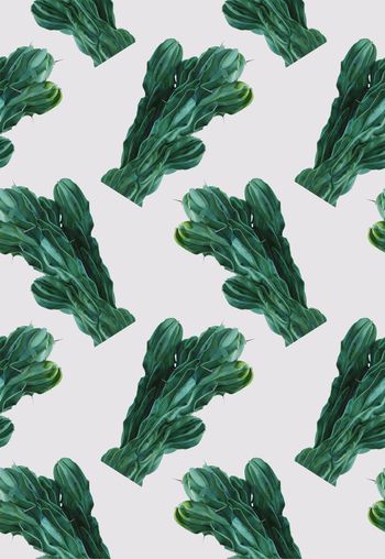 仙人掌印花华亿平台图片