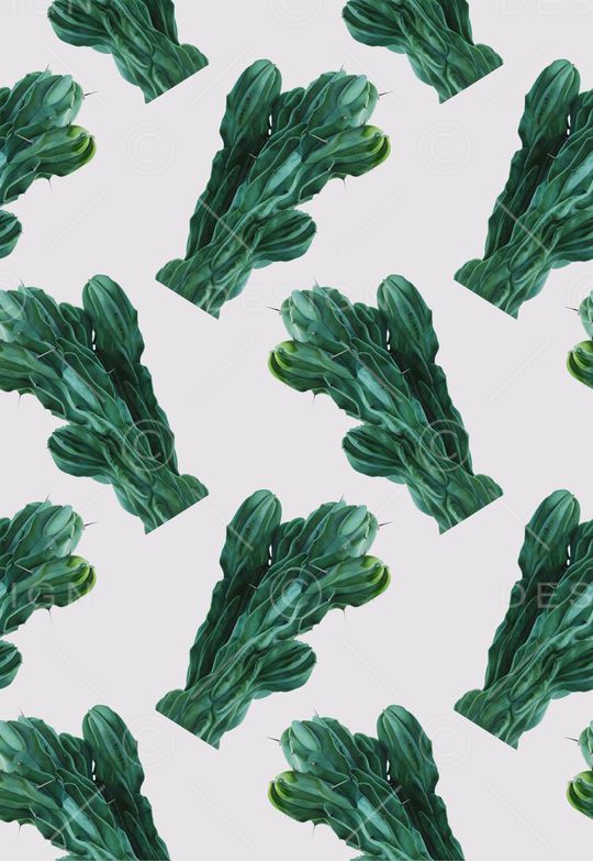 仙人掌印花华亿平台图片