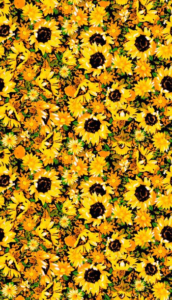 525789-复古  菊花 花卉 组合 服装 家