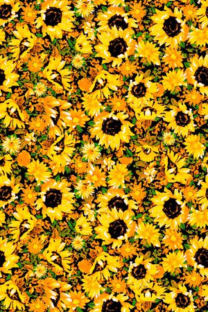 服装印花华亿平台图片