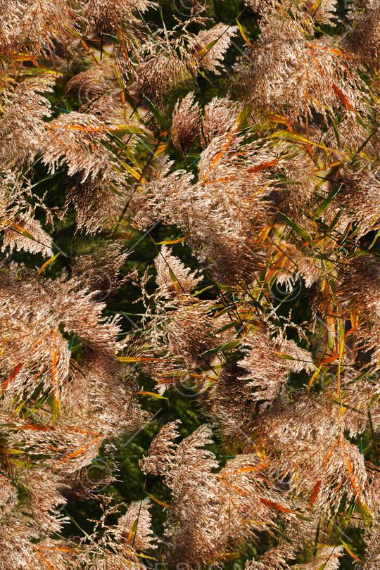 时尚印花华亿平台图片