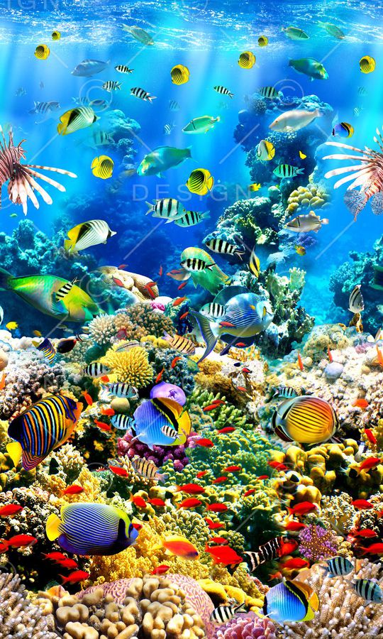 时尚印花华亿平台图片