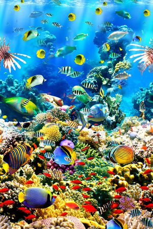 时尚印花华亿平台图片