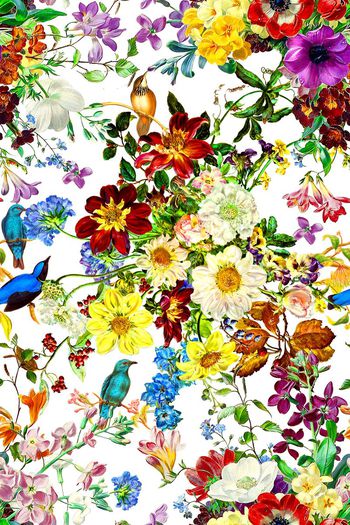 525821-时尚油画花卉小鸟