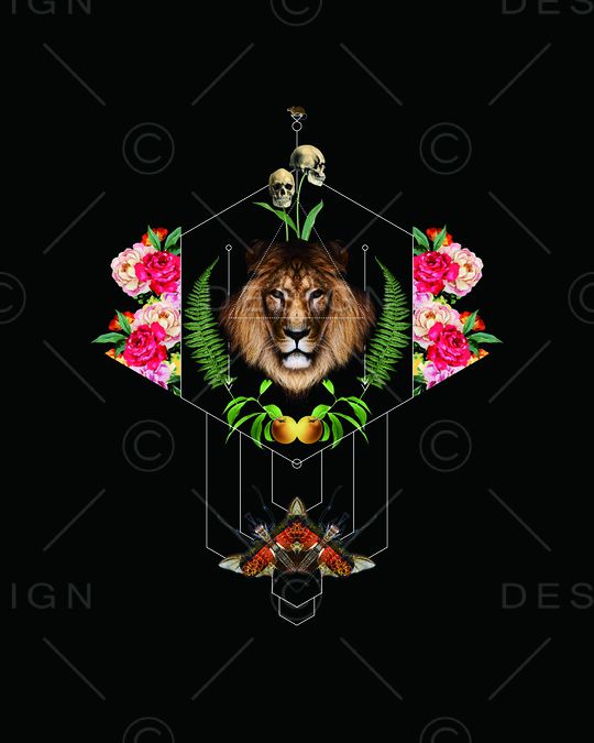 时尚男装  花草水果印花华亿平台图片