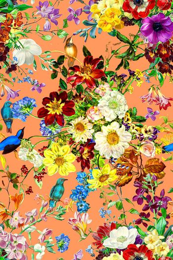 525835-时尚油画花卉小鸟