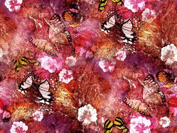 525857-2015潮流蝴蝶数码印花