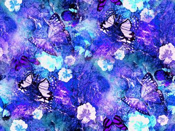 525862-2015潮流蝴蝶数码印花