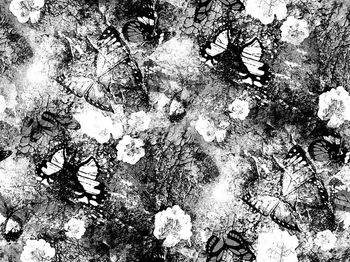 525863-2015潮流蝴蝶数码印花