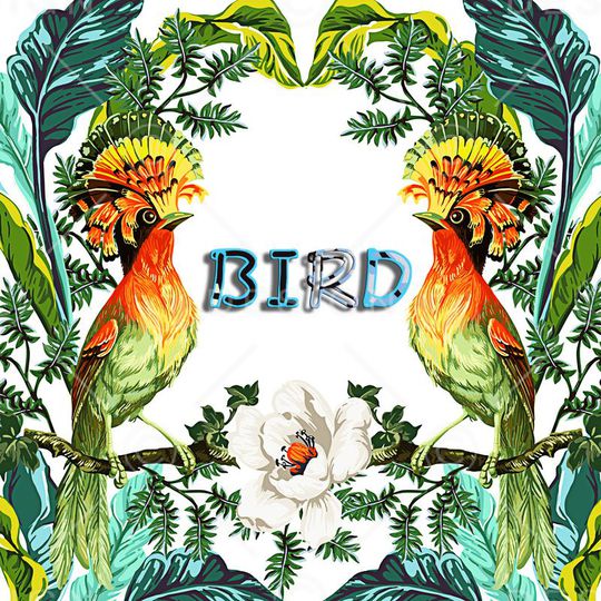 热带花卉印花华亿平台图片