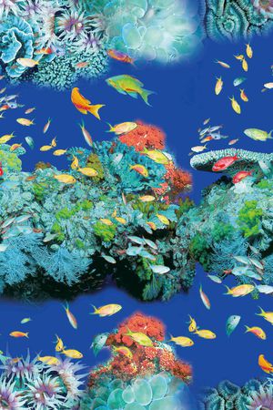 原创印花华亿平台图片