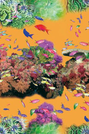 原创印花华亿平台图片