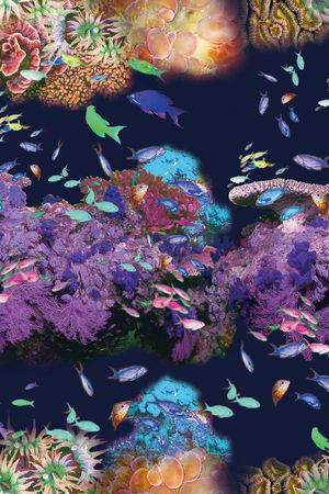 原创印花华亿平台图片