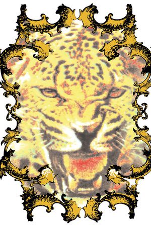 欧美印花华亿平台图片